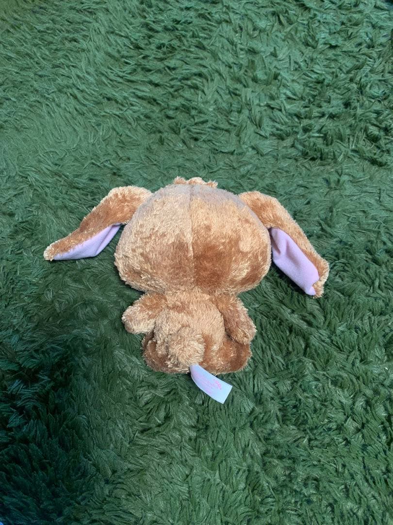 シュガーバニーズ　くろうさ　ぬいぐるみ