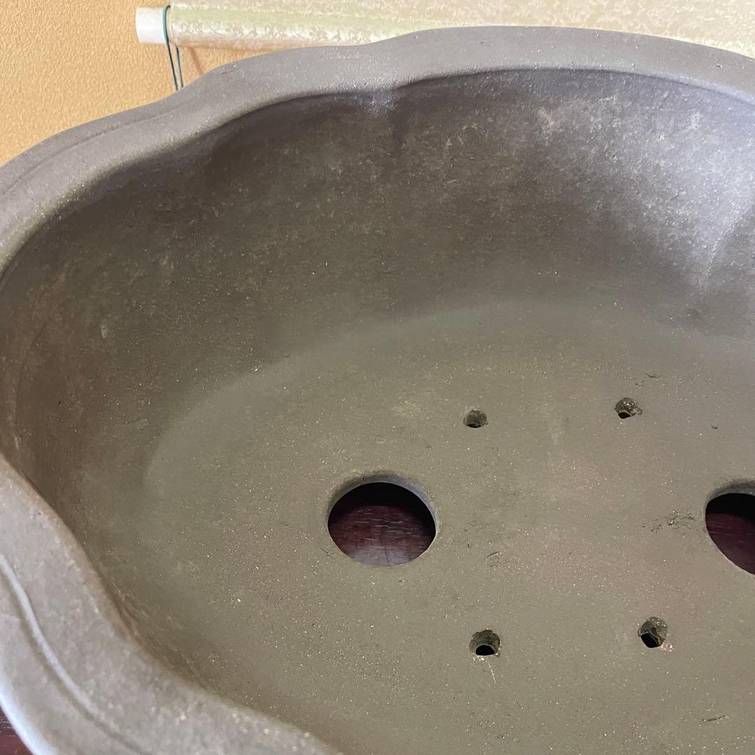 中国宜興 紫砂 木瓜下帯花足 烏泥盆栽鉢 真柏盆栽 MADE IN YIXING