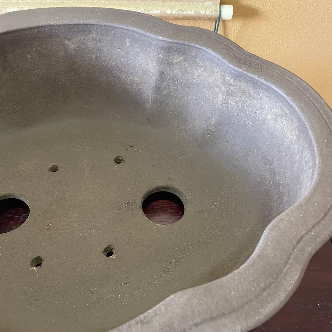 中国宜興 紫砂 木瓜下帯花足 烏泥盆栽鉢 真柏盆栽 MADE IN YIXING