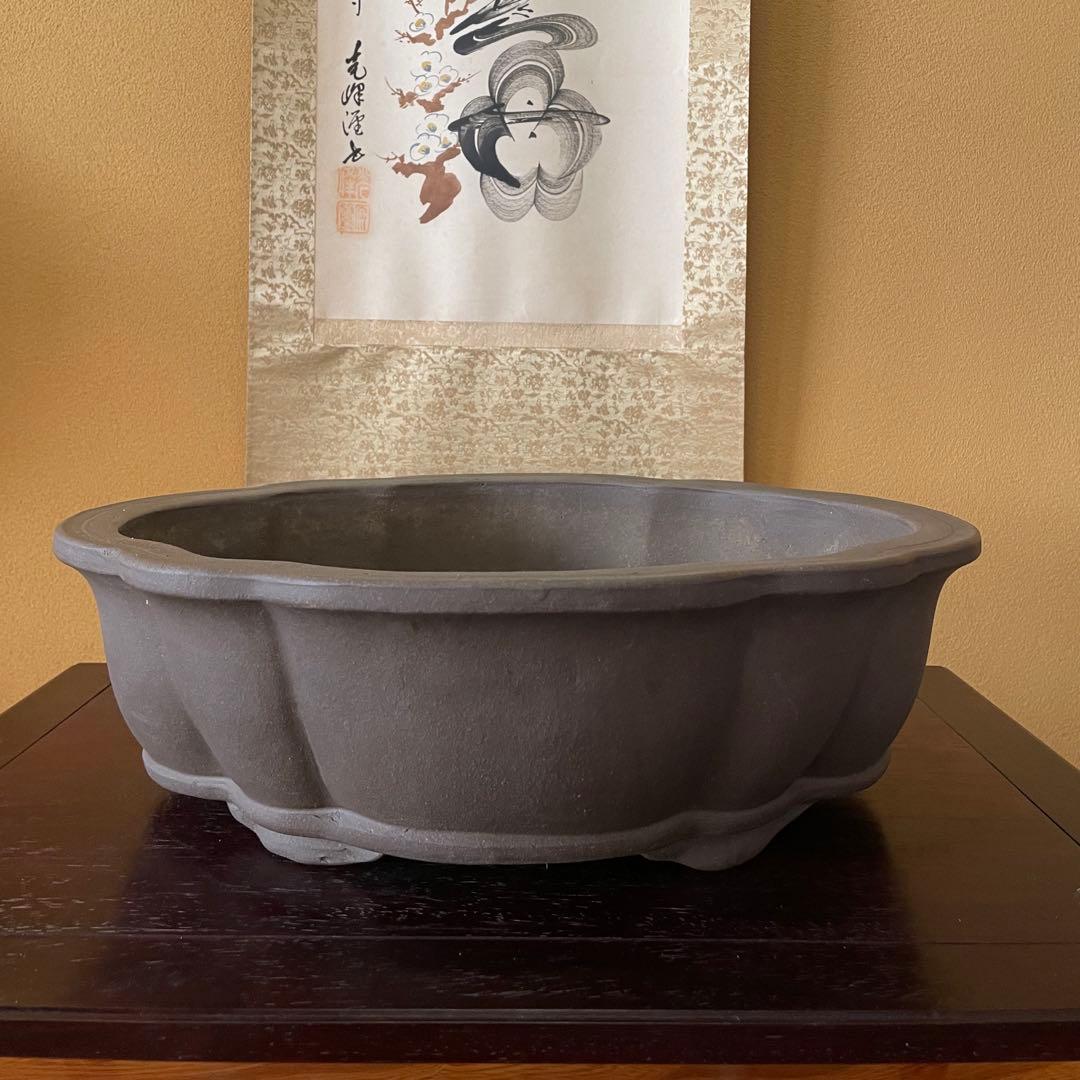 中国宜興 紫砂 木瓜下帯花足 烏泥盆栽鉢 真柏盆栽 MADE IN YIXING