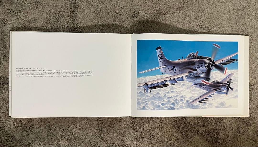 小池繁夫 FLYOVER フライオーバー 航空イラスト作品集 中古美品 ソニー
