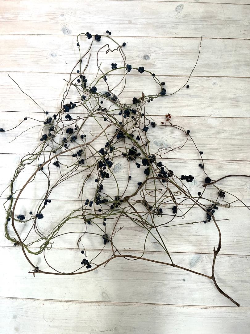 花材＊アオツヅラフジ　ドライフラワー　スワッグ、リース材料　オリジナル作品作り