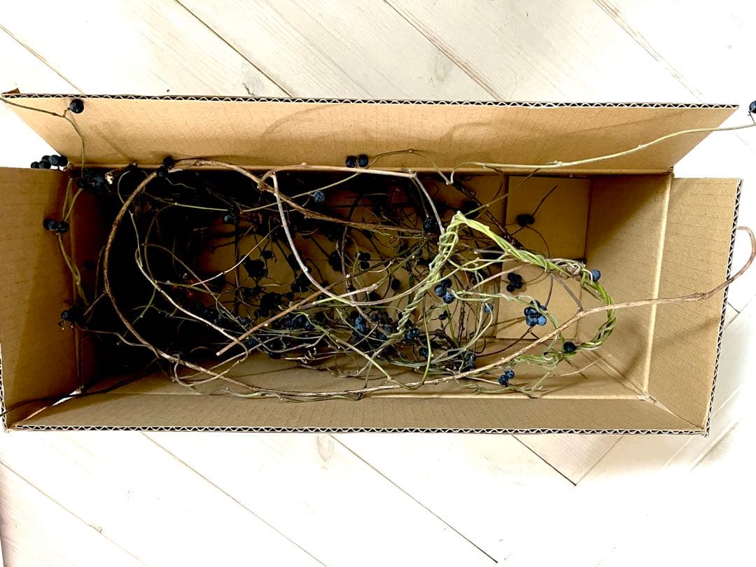 花材＊アオツヅラフジ　ドライフラワー　スワッグ、リース材料　オリジナル作品作り