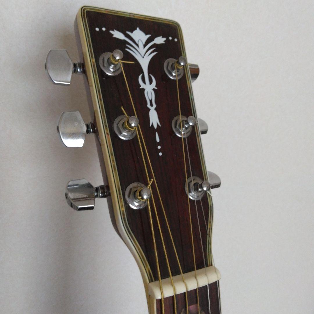 ARIA アリア　ADW-300N アコースティックギター