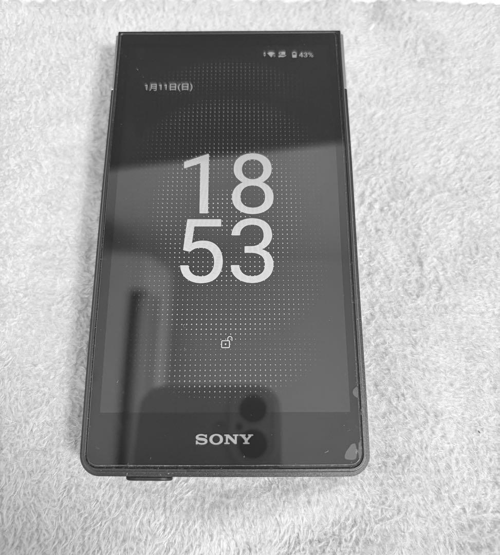 SONY NW-ZX707 ウォークマン ハイレゾ対応　microSD ケース