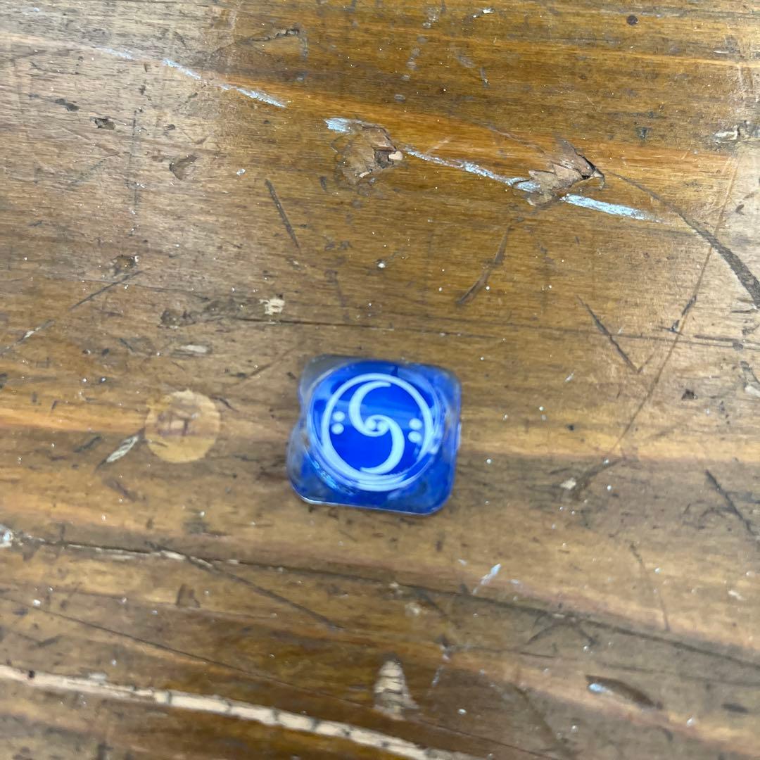 早い者勝ち！blueroom Scandyna minipod ブラック　ペア