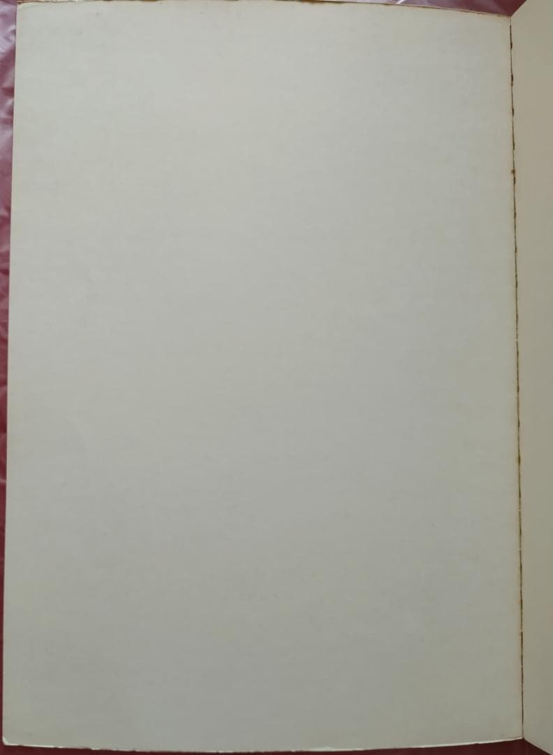 洋書 Ornamental Penmanship