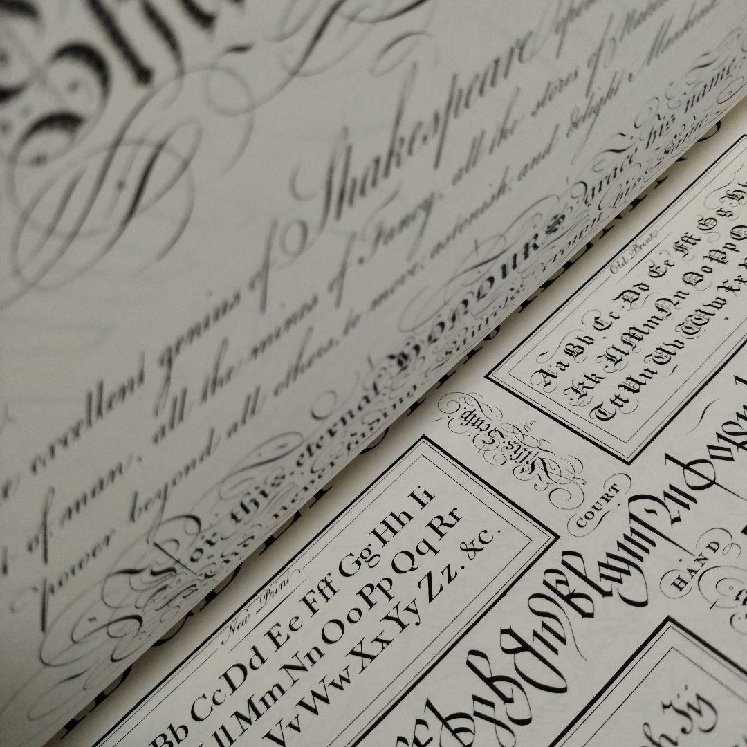 洋書 Ornamental Penmanship