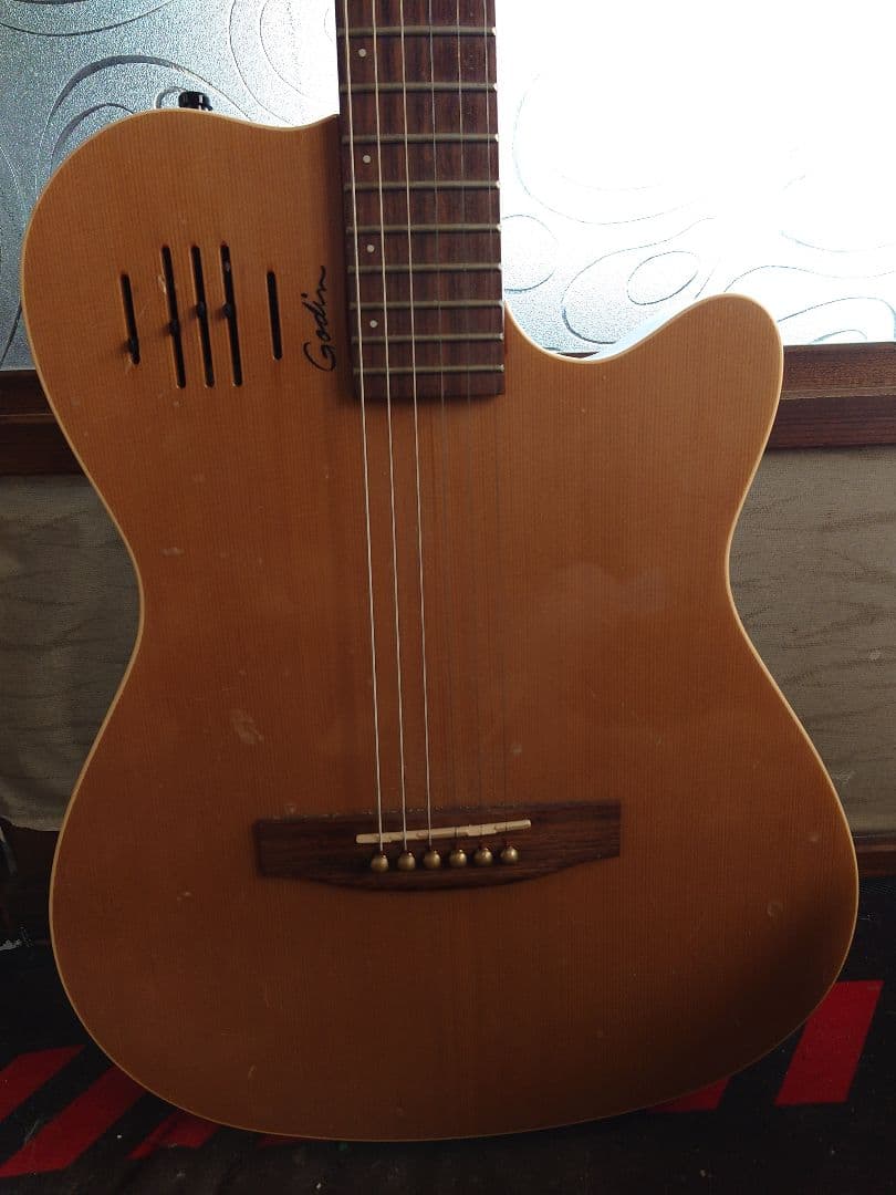 Godin エレキアコースティックギター