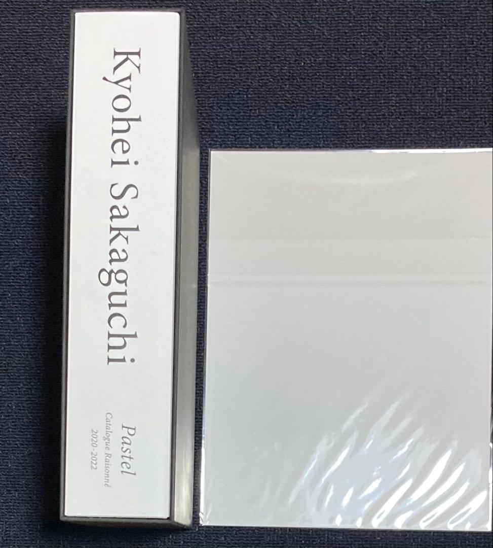 坂口恭平　カタログ レゾネ　pastel 　パステル画