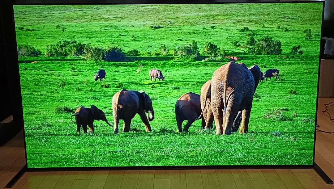 kaminda　美品 21年製65V型 SONY　XRJ-65A90J