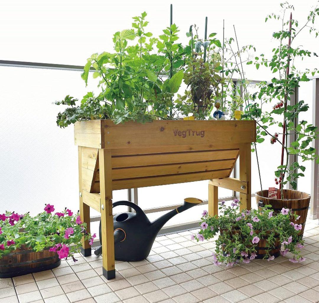 ベジトラグ ウォールハガー S 木製 ホームベジトラグ VGT-WH01F