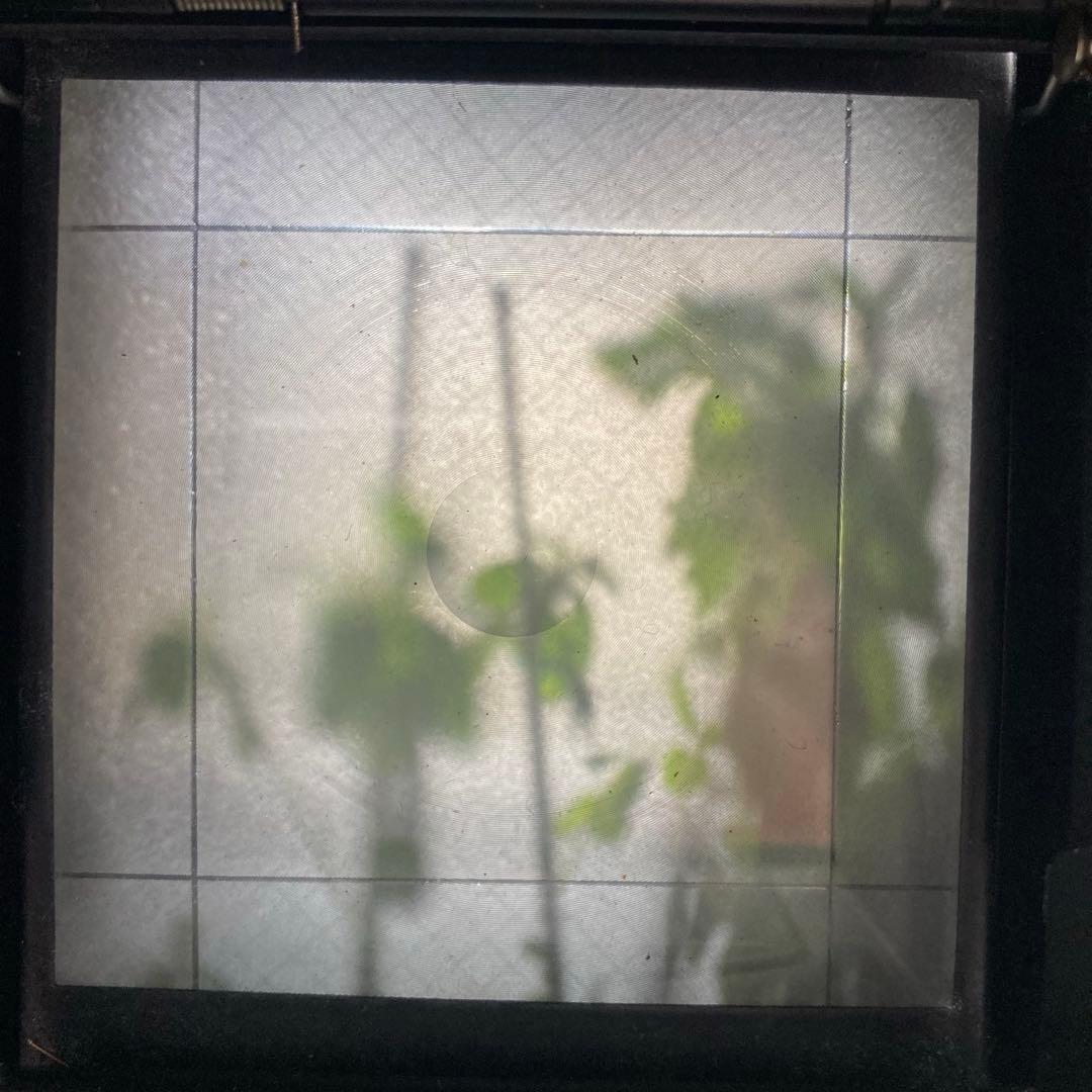 MINOLTA AUTOCORD CITIZEN-MXV 二眼レフ