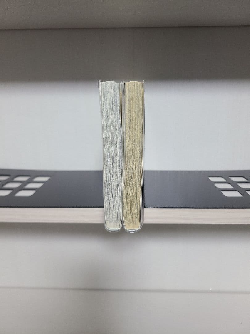 専用　ジョジョの奇妙な冒険　リオン　初版