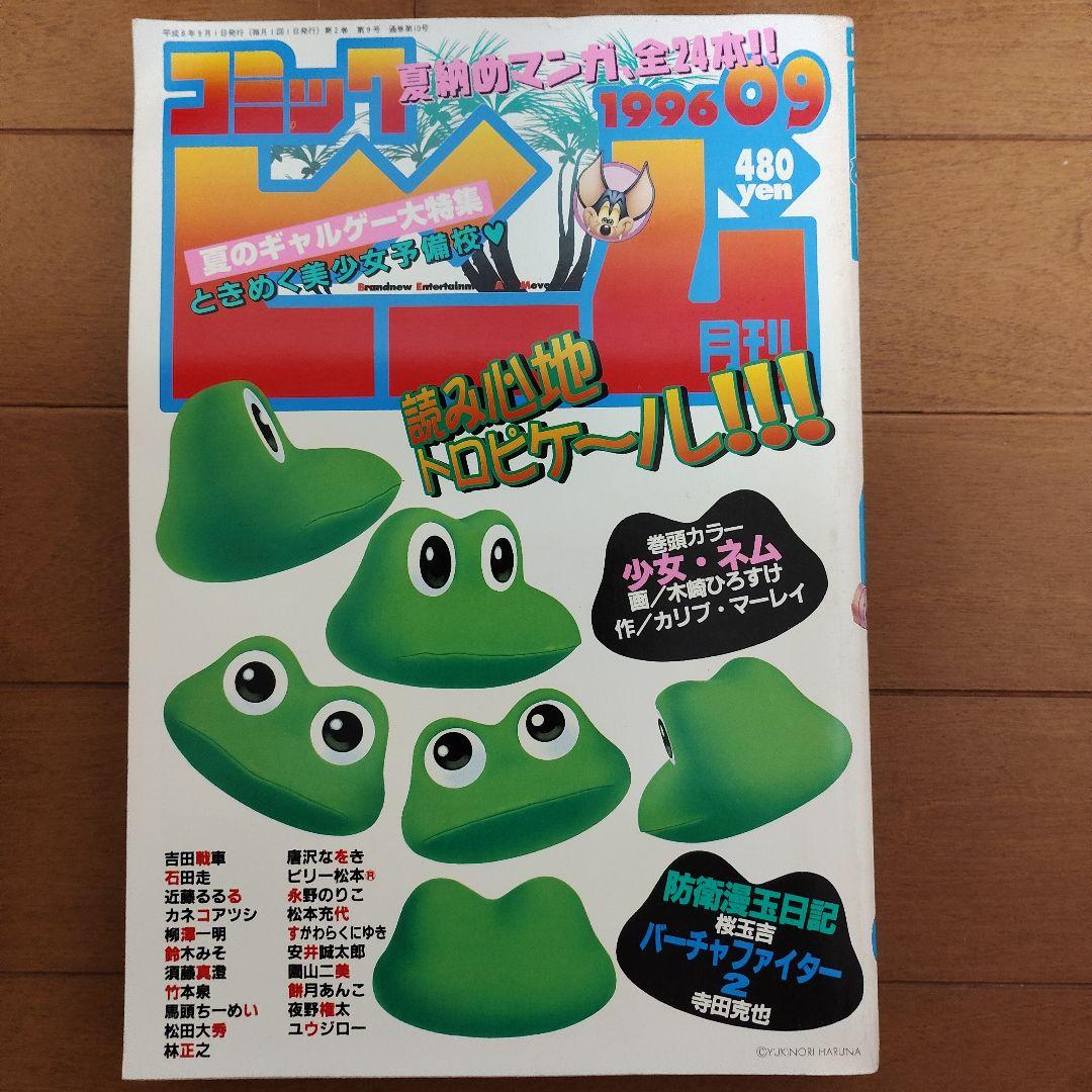 月刊コミック ビーム　1996年 1～12月号　まとめ売り　アスキー