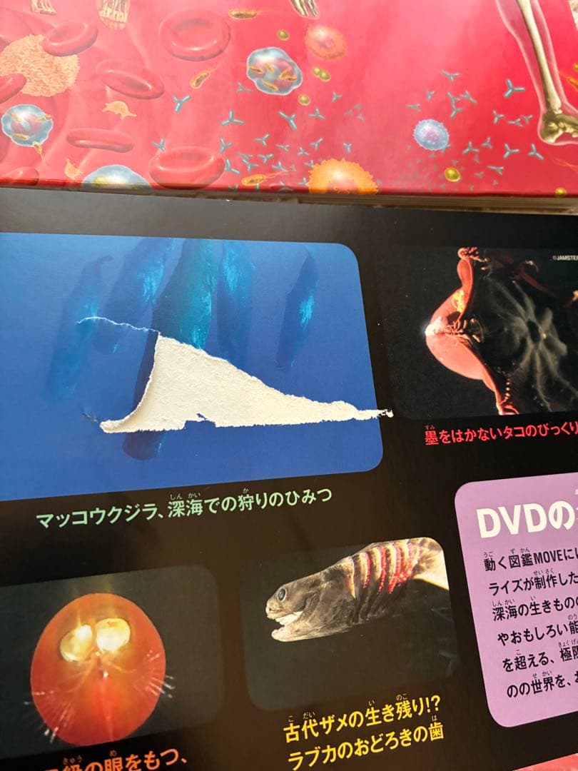 move 講談社の動く図鑑セット12冊世界の国ぐに図鑑つき