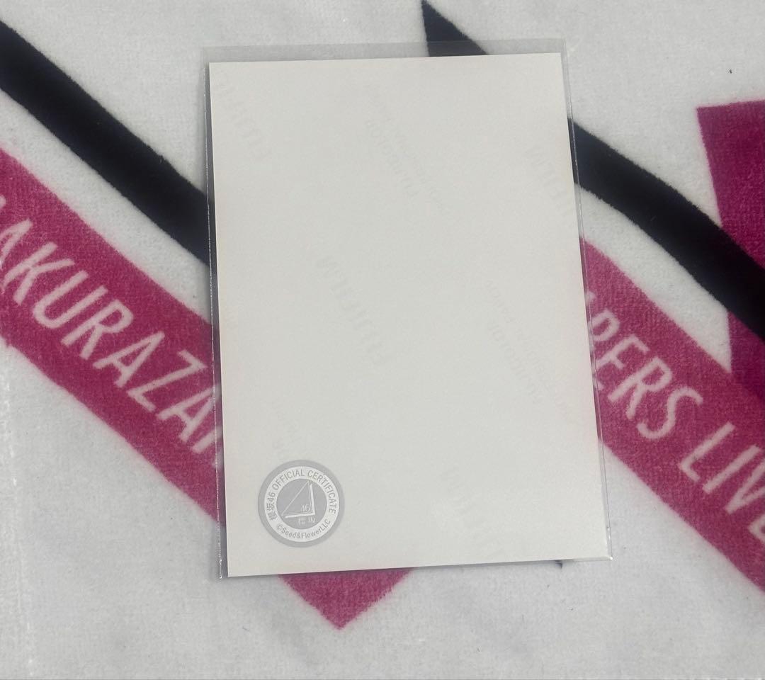 銀*犀様 櫻坂46 生写真　山﨑天　2024サンタチュウ　直筆サイン入り　コメン