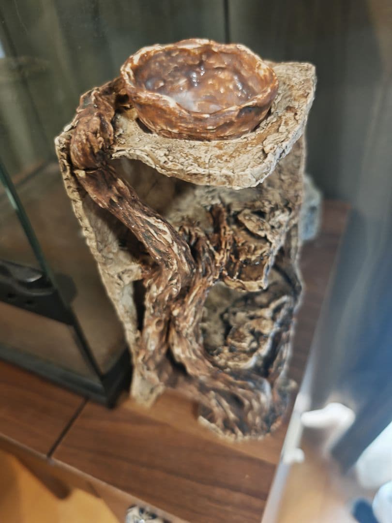 GEX グラステラリウム3045 ヒーティングトップ シェルター