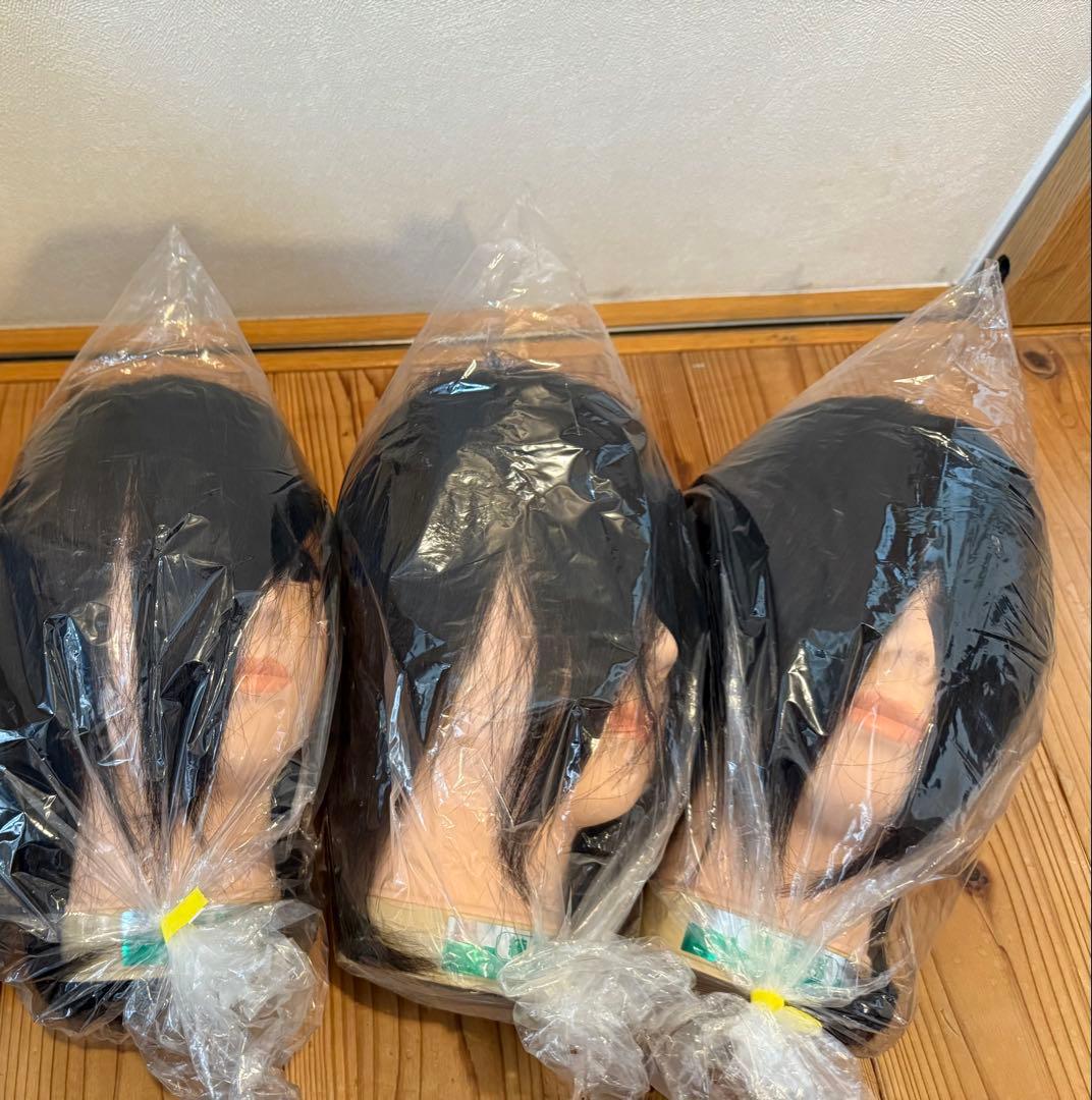 国家試験練習用カットウィッグ