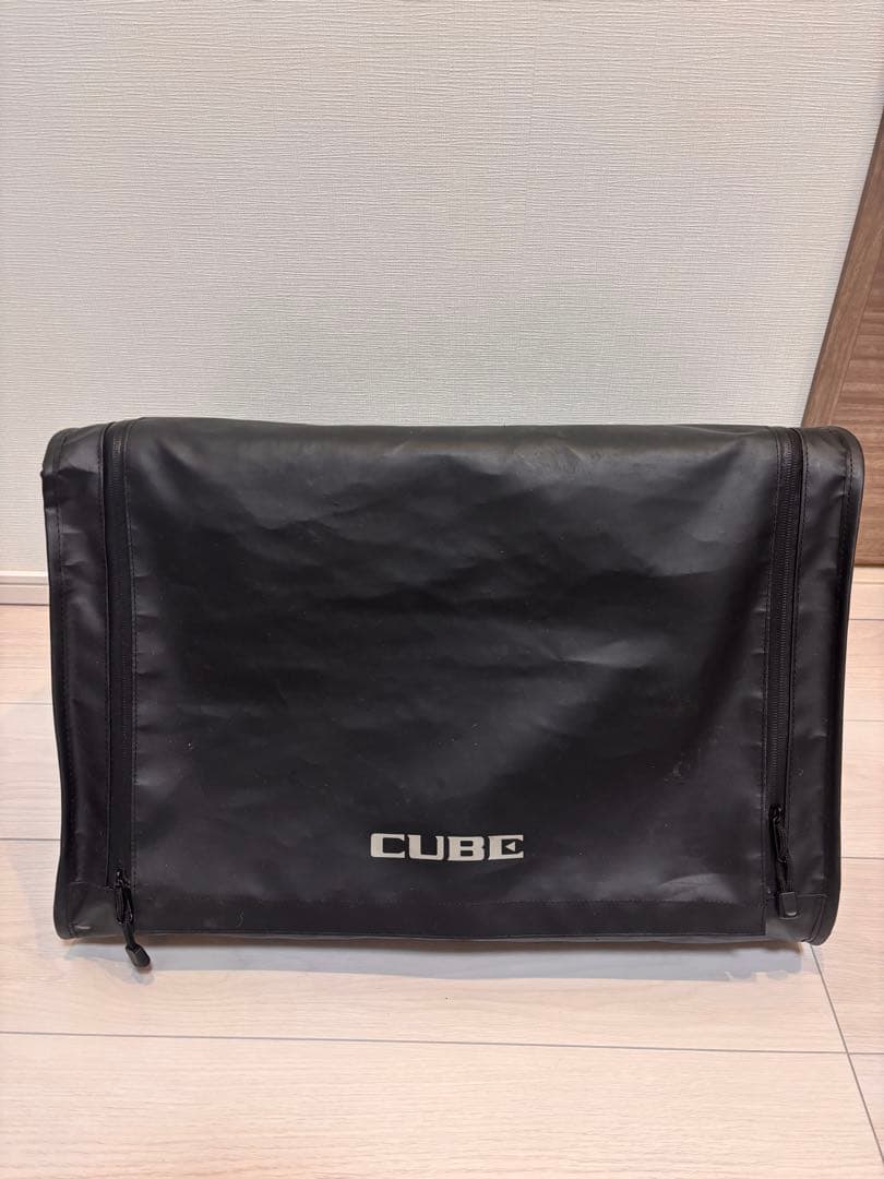 Roland CUBE STREET EX アンプ +マイク2本付き