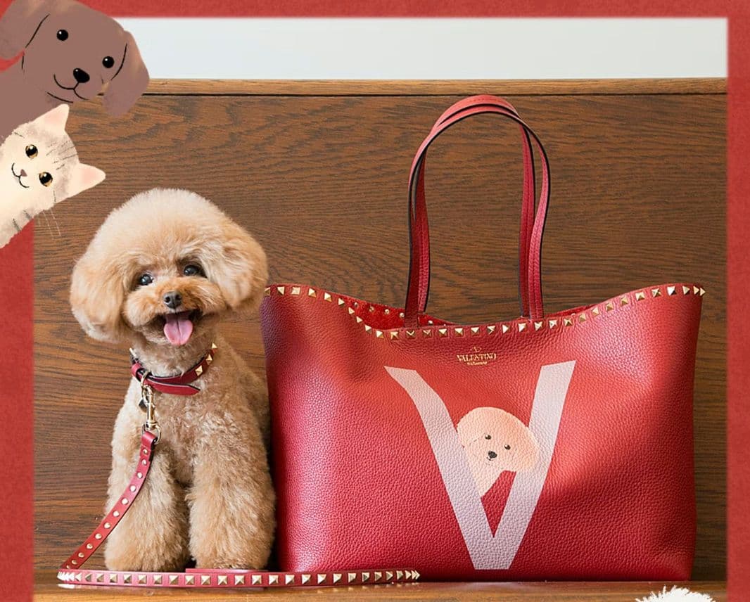 ヴァレンティノ VALENTINO スタッズ首輪 リード セット M 新品