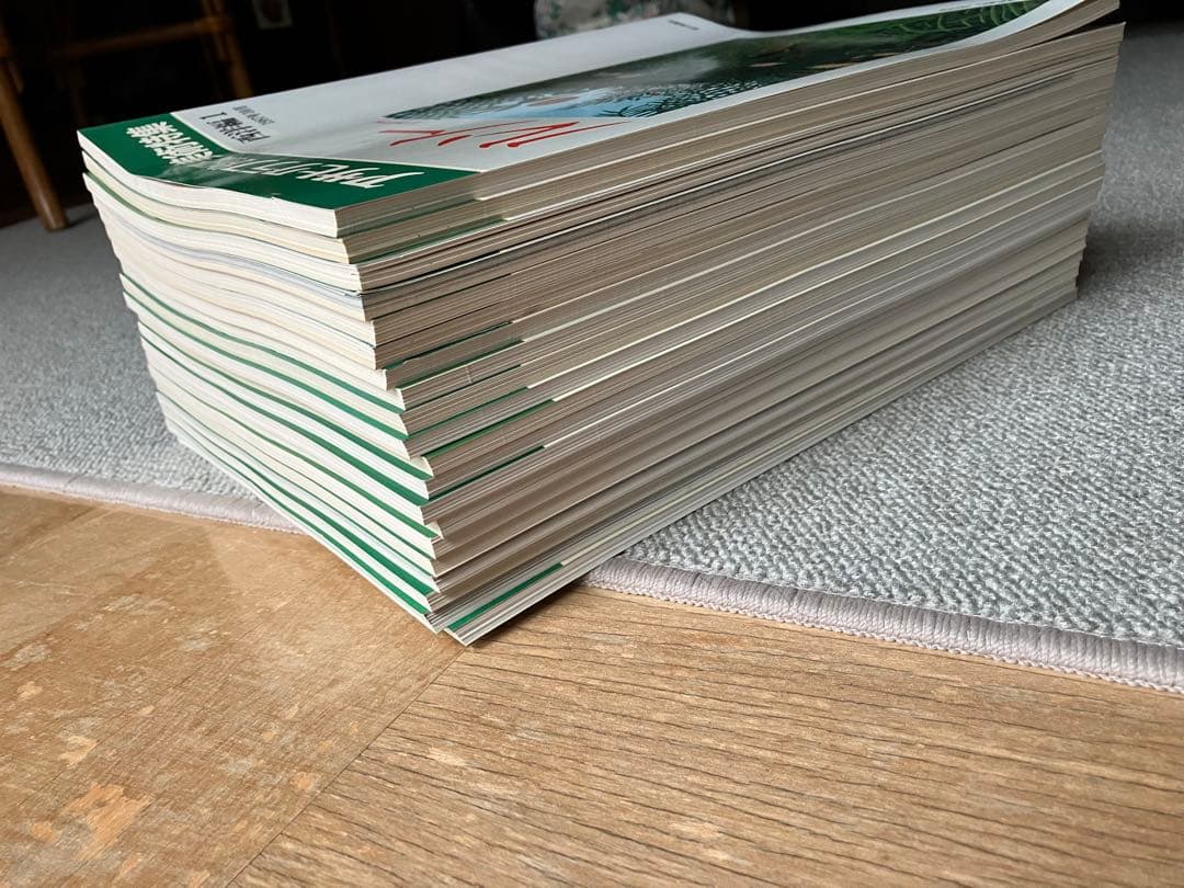 アサヒグラフ別冊　美術特集　20冊