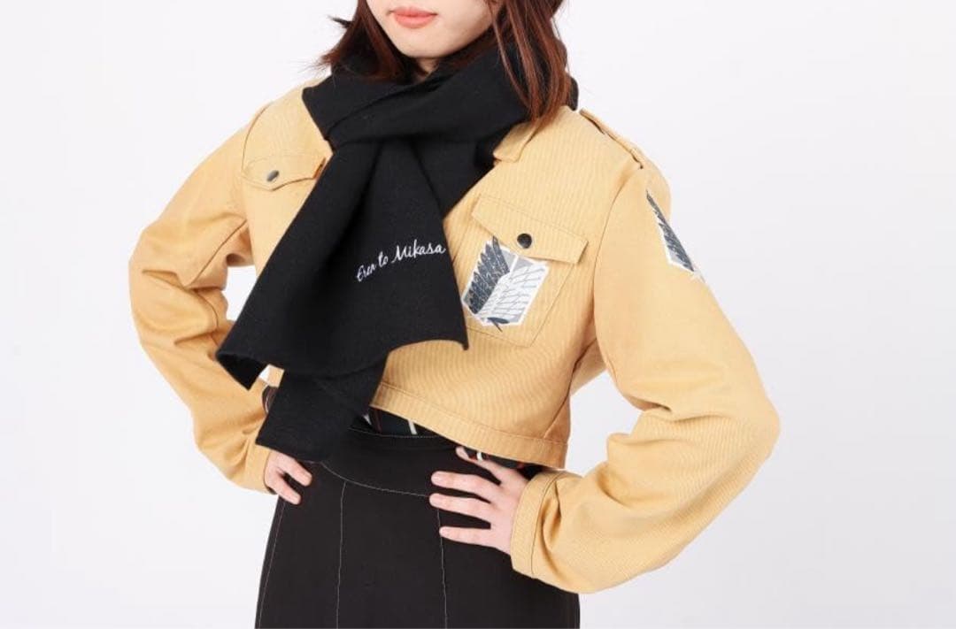 進撃の巨人 画集 FLY 【新品未開封】