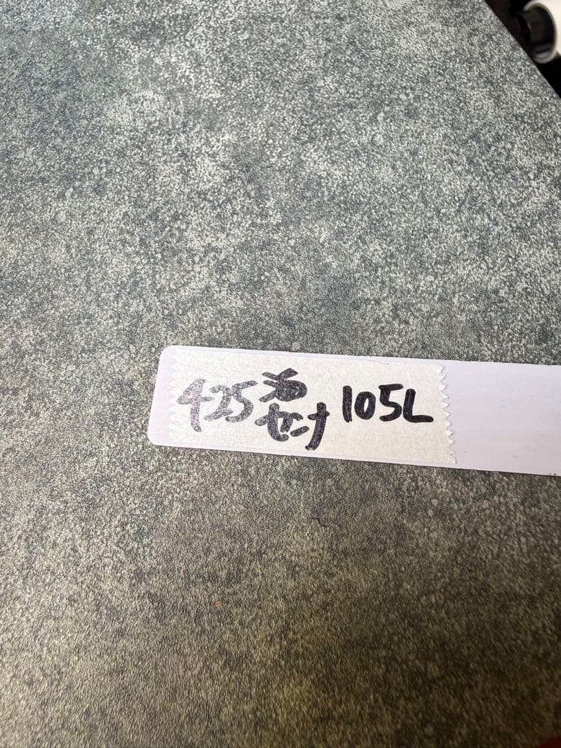 センナ　メリディオナリス　海外実生　発根済み　425