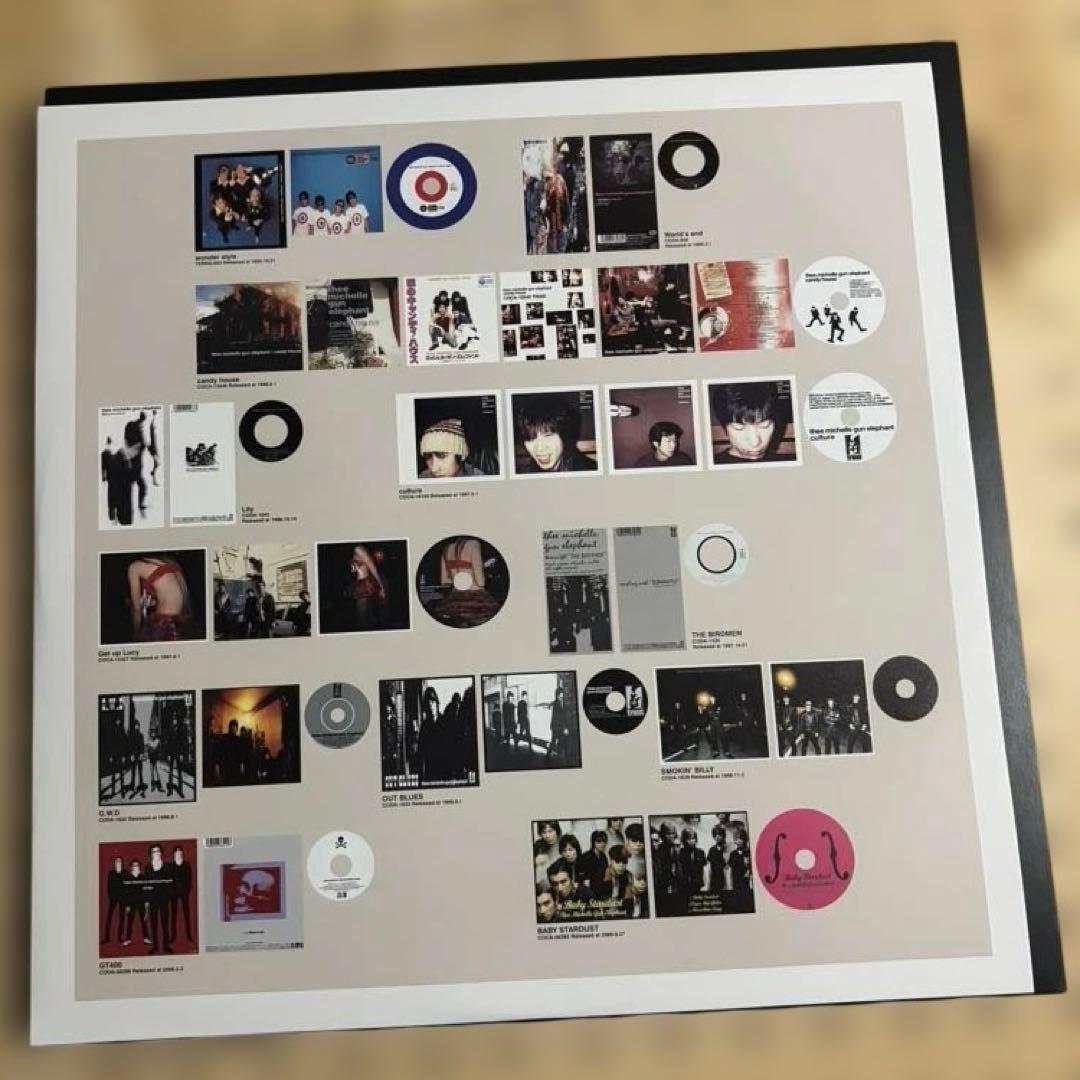 ミッシェルガンエレファント　12inch レコード2枚組　TMGE106