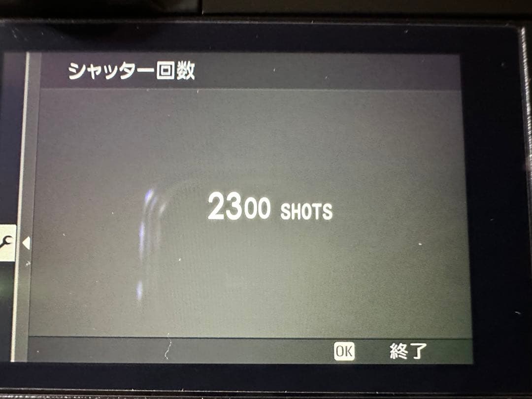 FUJIFILM X100VI 美品 おまけ付き シャッター回数2300回