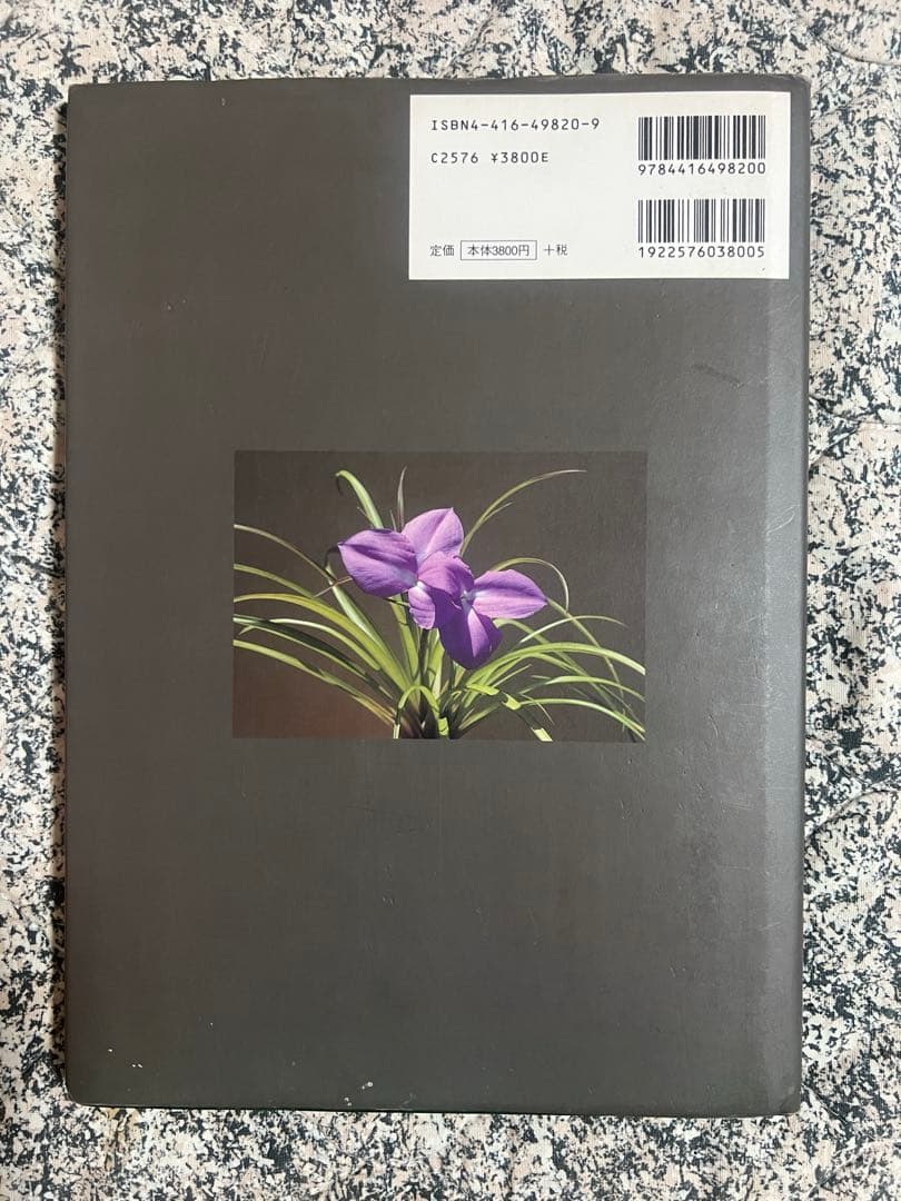 趣味・スポーツ・実用 Tillandsia Handbook