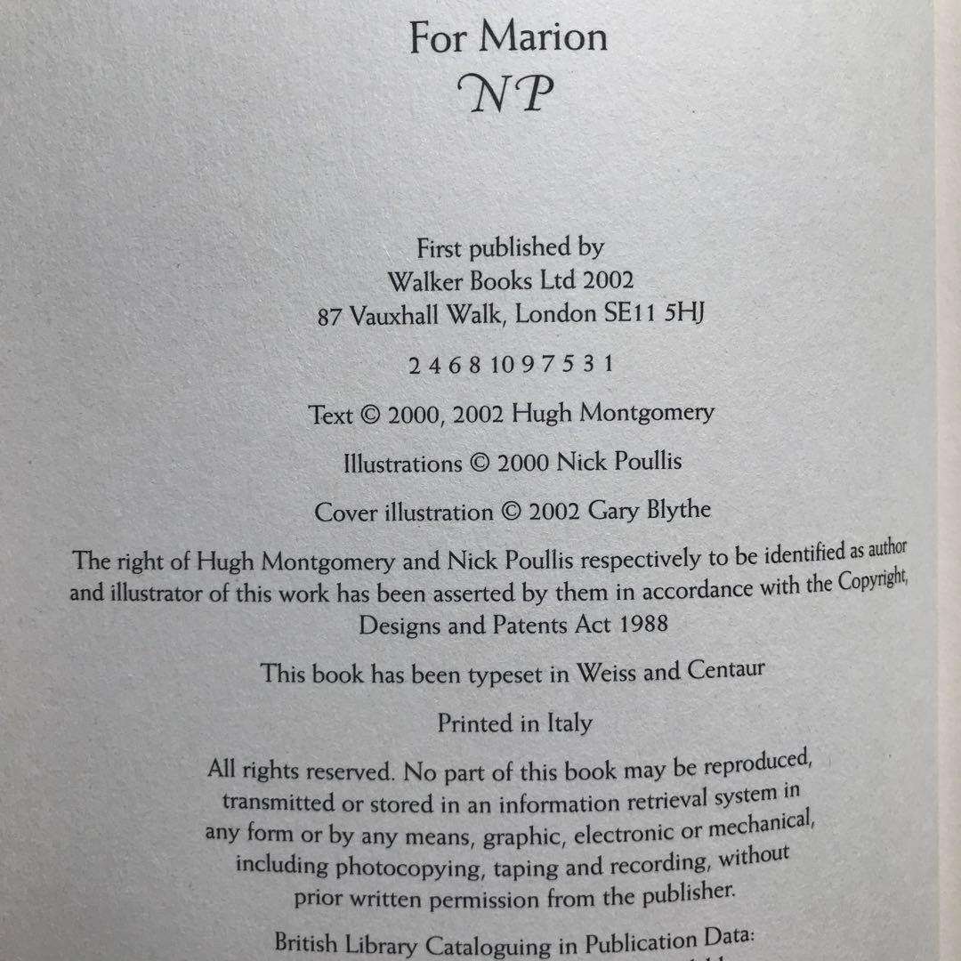 洋書 The Voyage of the Arctic Tern