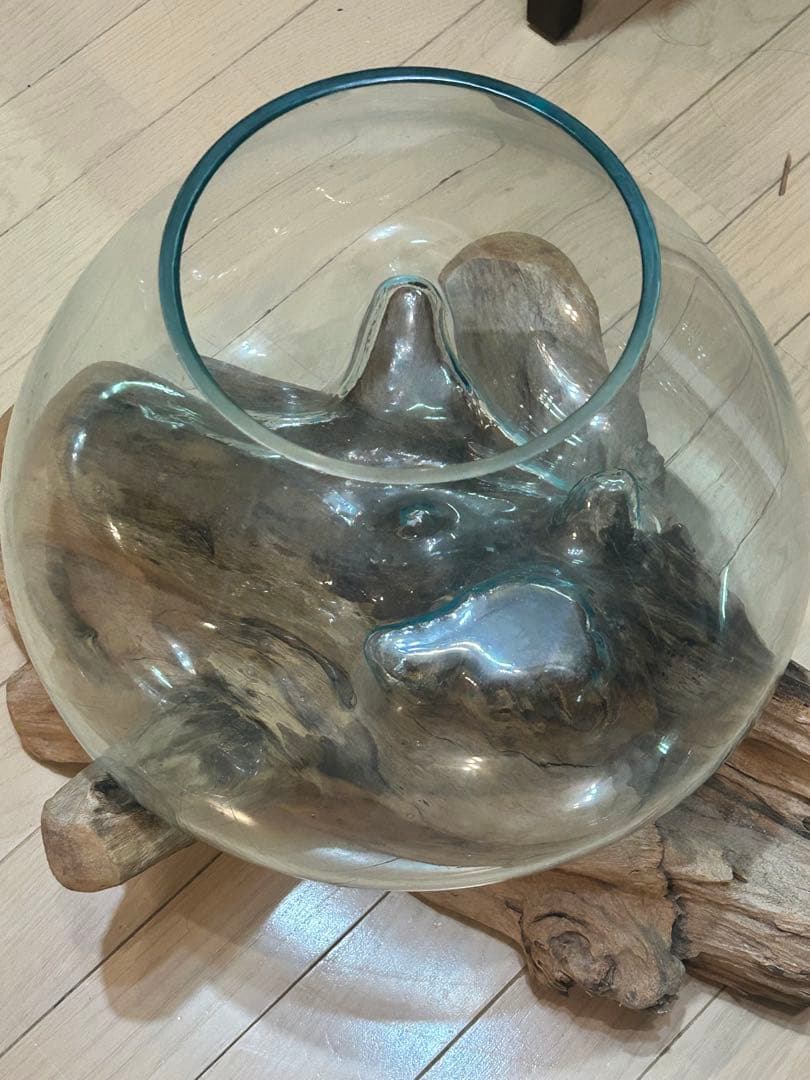 流木ガラスオブジェ 水槽 花瓶 多肉植物 金魚鉢 バリ島アート作品 テラリウム