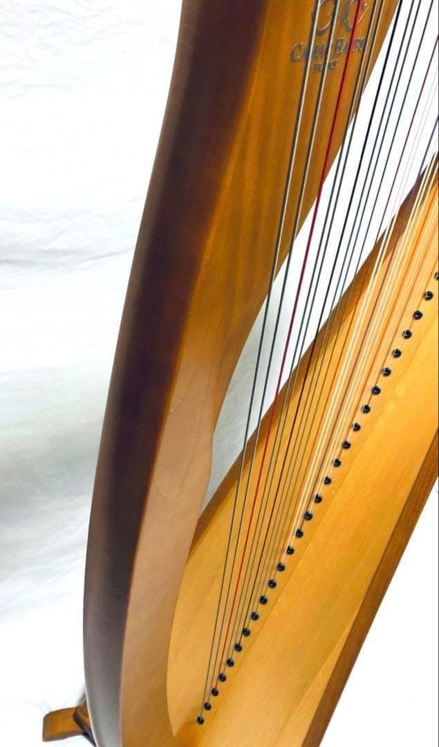 【ATM/コンビニ支払い分割用①】 CAMAC HARPS 38弦 ハープ