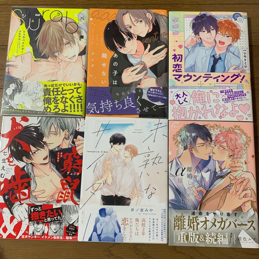 商業BL 57冊と特典セット