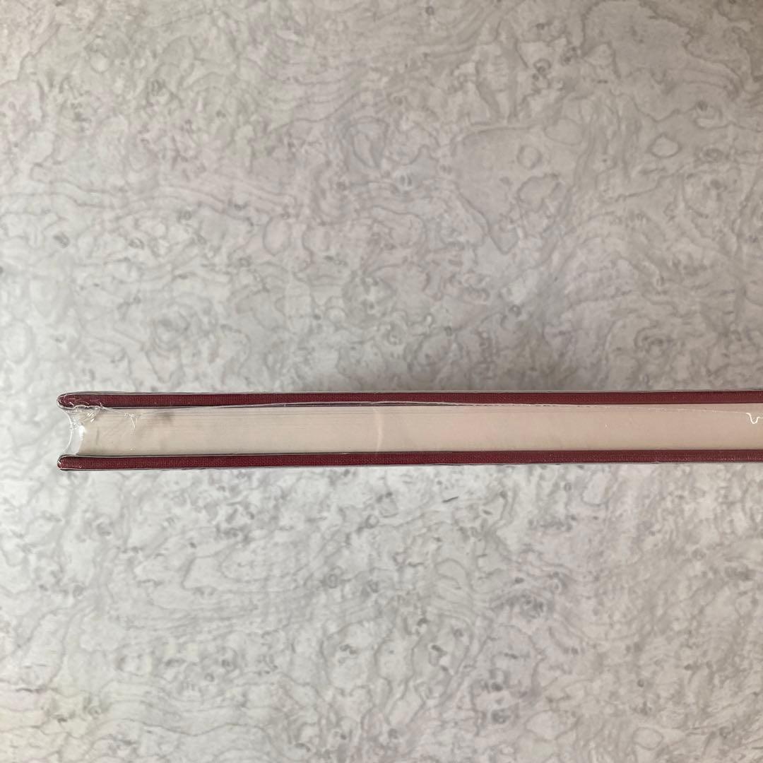 ソール・ライター 【Early Color】SAUL LEITER