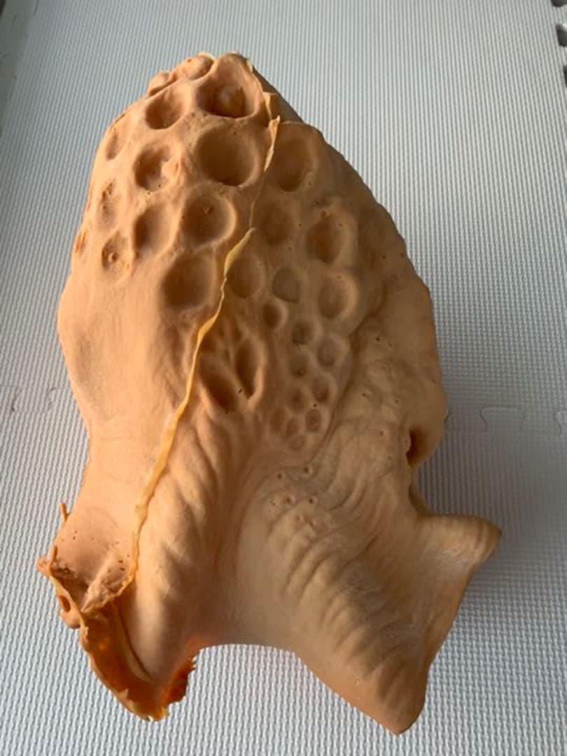 プレデター　1/1ヘッド　プロップレプリカ