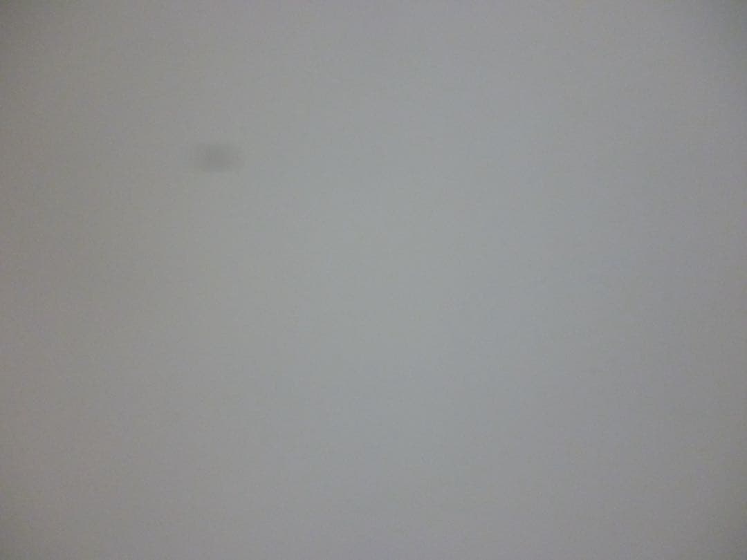 Panasonic Lumix S1 ピンク 本体と付属品