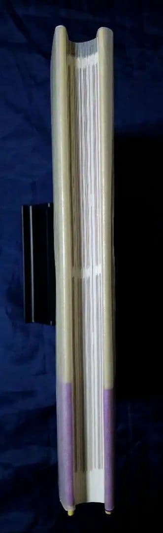 日本女性の外性器 統計学的形態論 日本性科学大系 1 笠井 寛司 帯・カバー紙