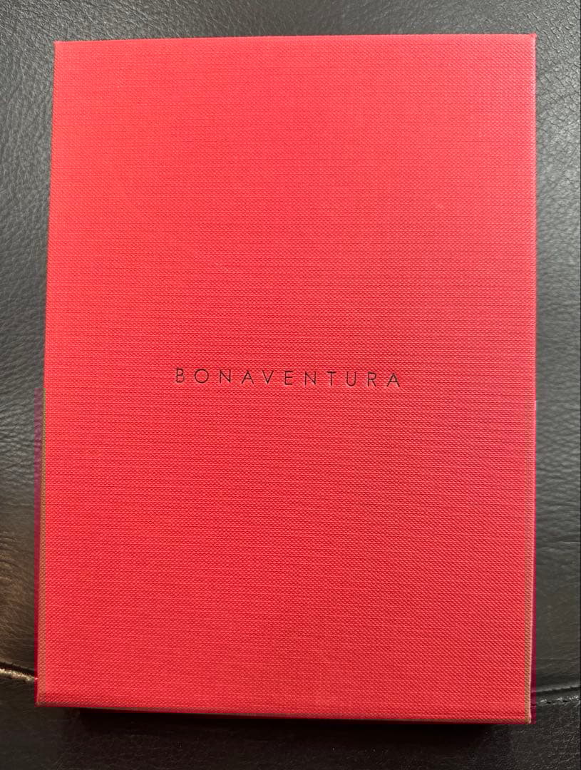 【ボナベンチュラ】ハンドル付きバックカバーケースiPhone17Pro《黒》