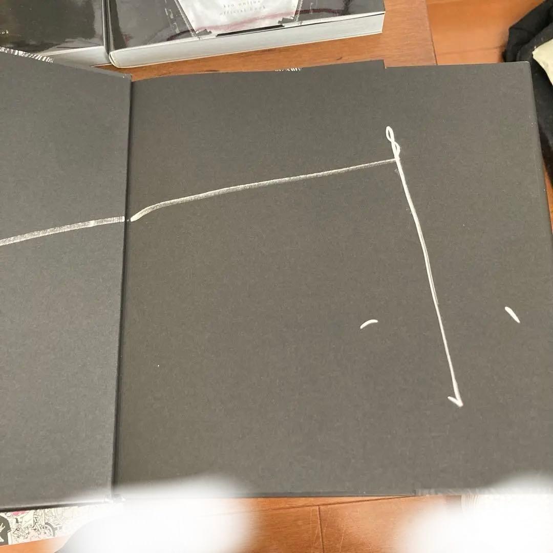 DIRENGREY京　ブックセットサイン入り(オマケアリ)