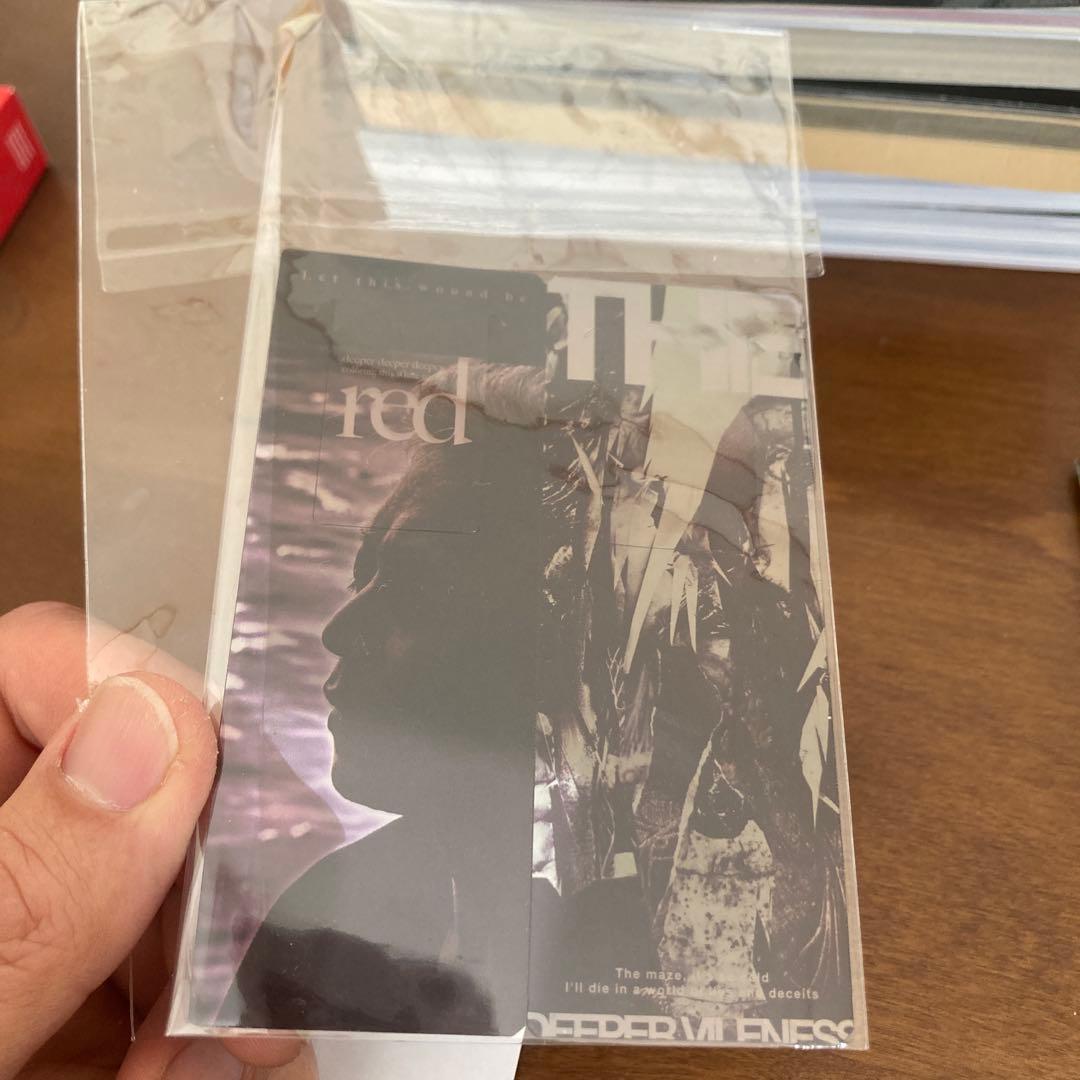 DIRENGREY京　ブックセットサイン入り(オマケアリ)