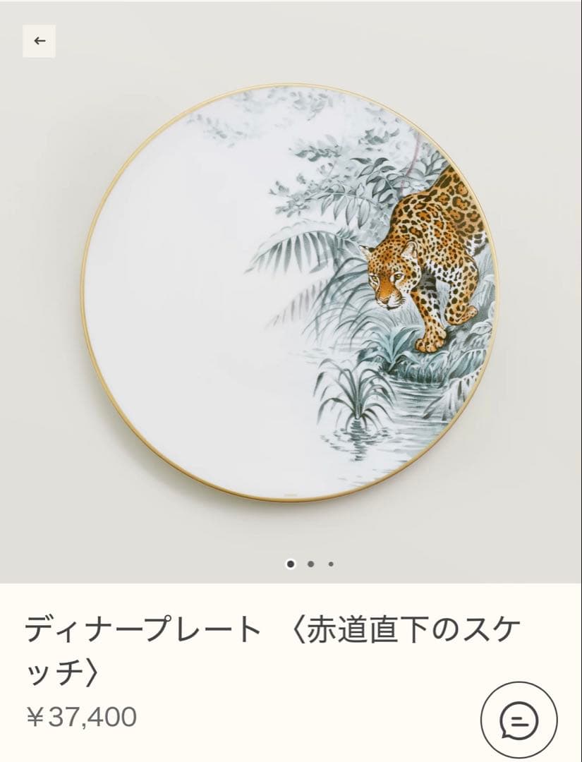 エルメス 赤道直下のスケッチ ディナープレート 2枚セット