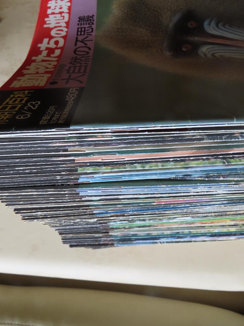 週刊　動物たちの地球全144巻揃い　朝日新聞社発行　定価74880円 美品