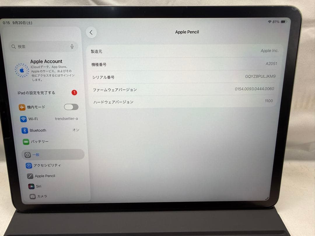ipad pro 11インチ256gb キーボード+ペンシル
