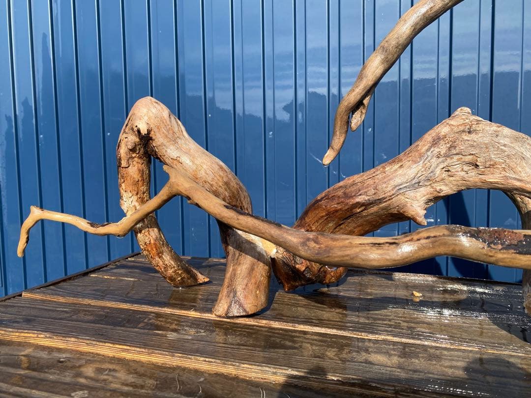 流木レイアウト 超大型　A862