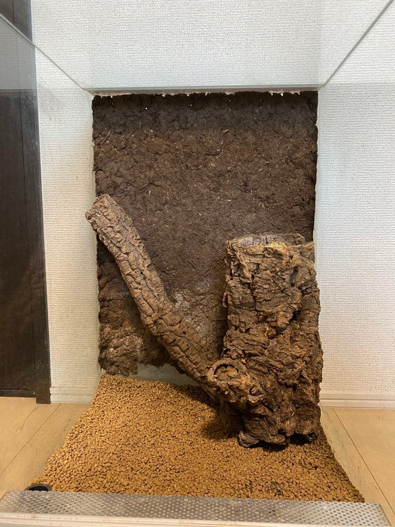 パルダリウム　ビバリウム　水槽セット