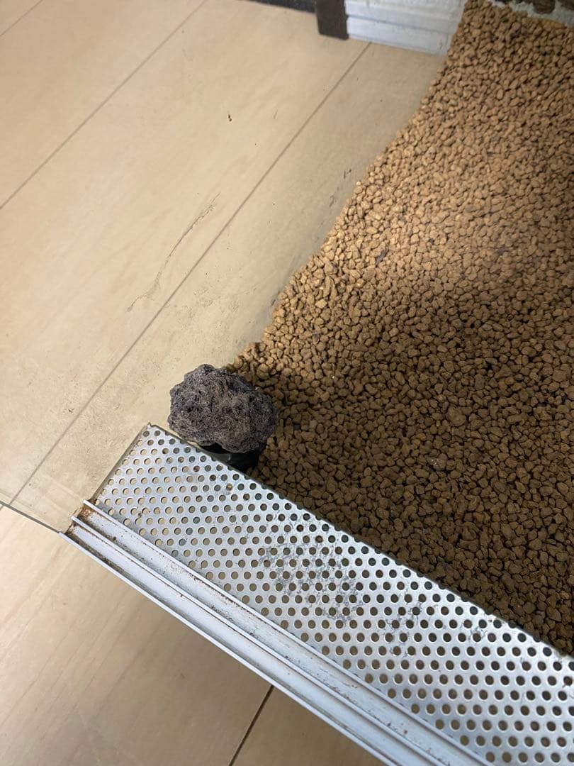 パルダリウム　ビバリウム　水槽セット