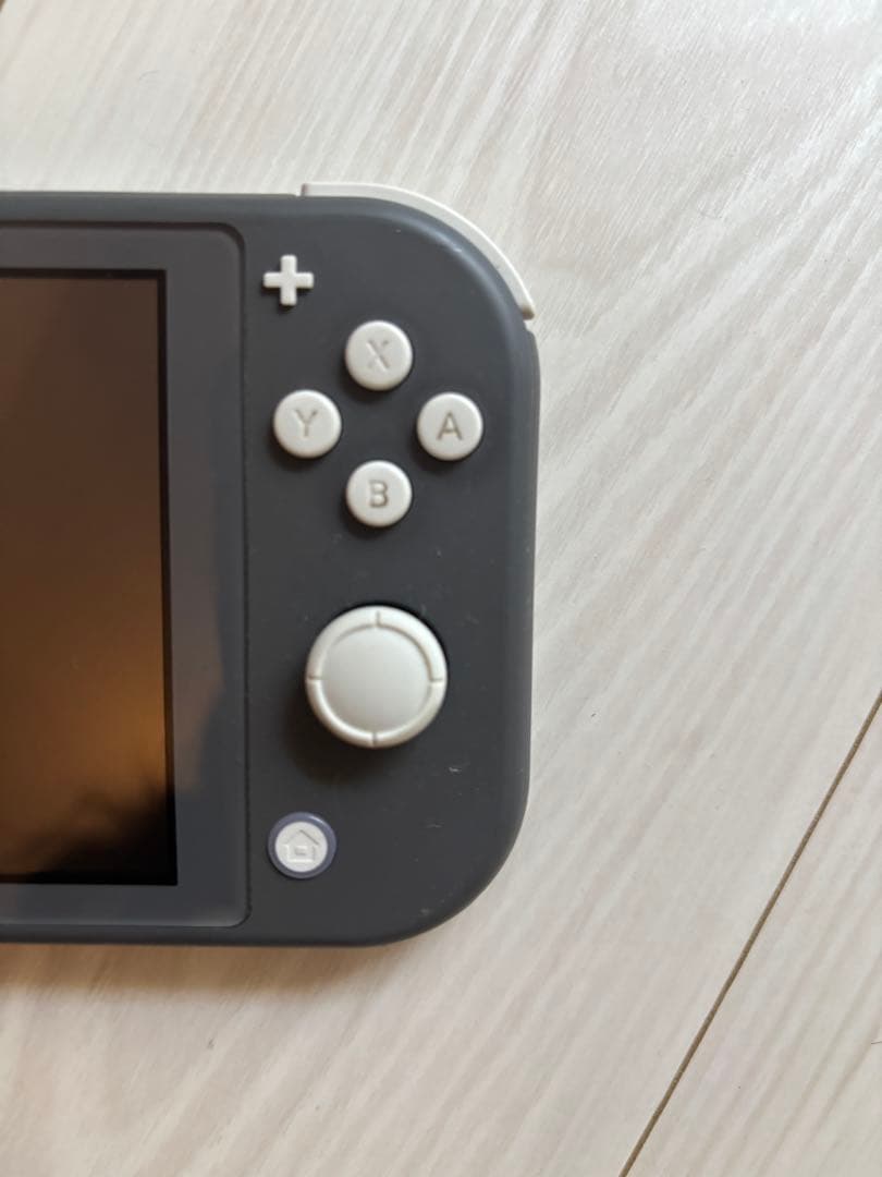 澪*様 本体 任天堂スイッチライト　黒ケース付　Nintendo Switch