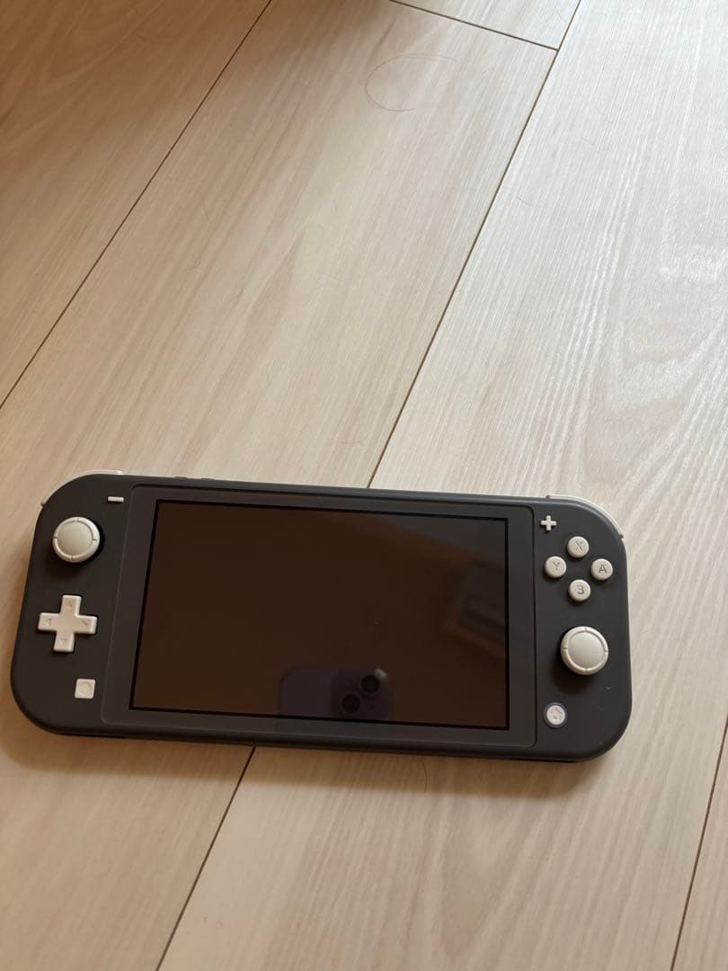 澪*様 本体 任天堂スイッチライト　黒ケース付　Nintendo Switch